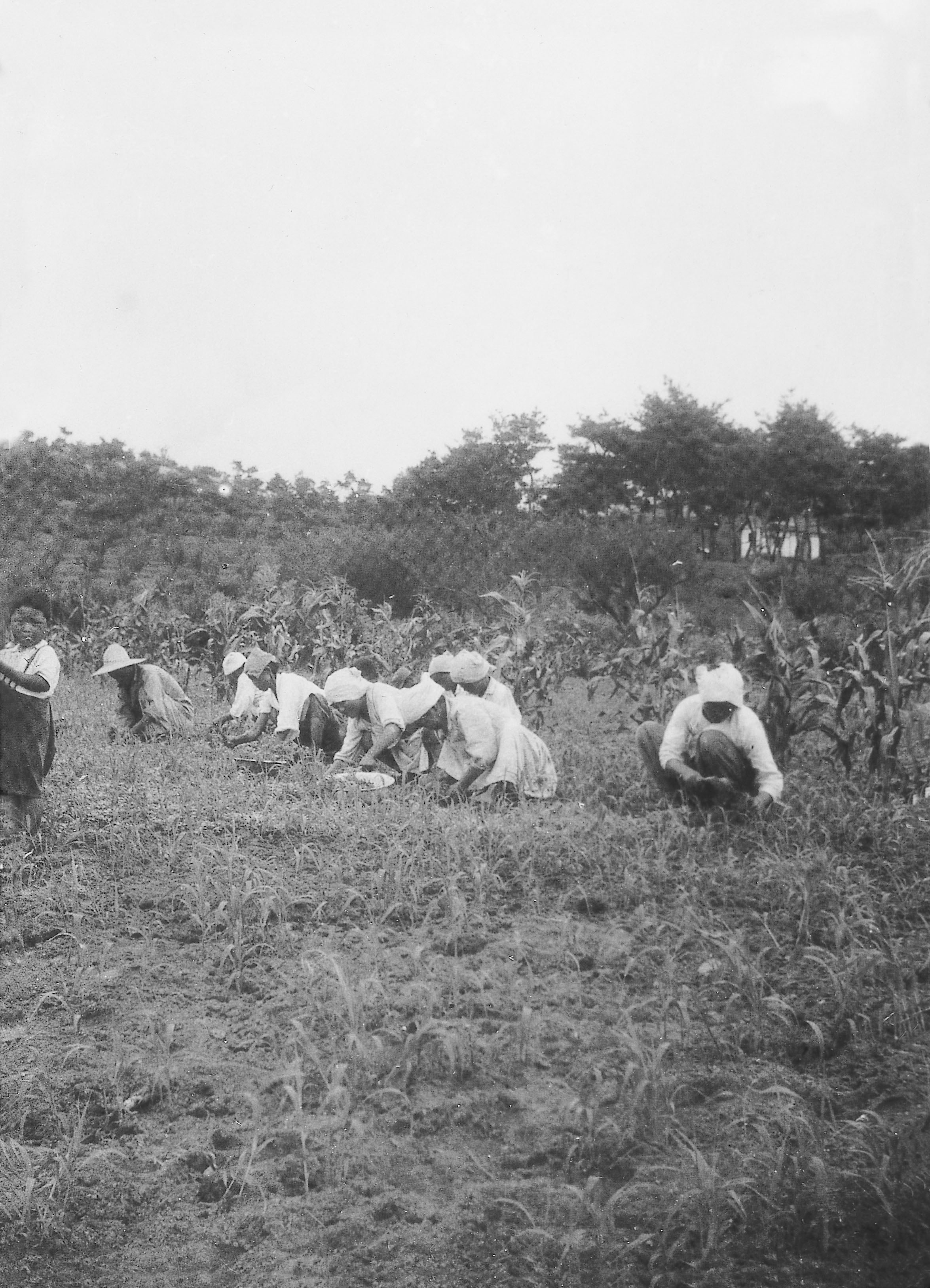 불이농장아낙네(1943년) 이미지