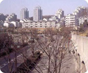 수식 가로화2 이미지